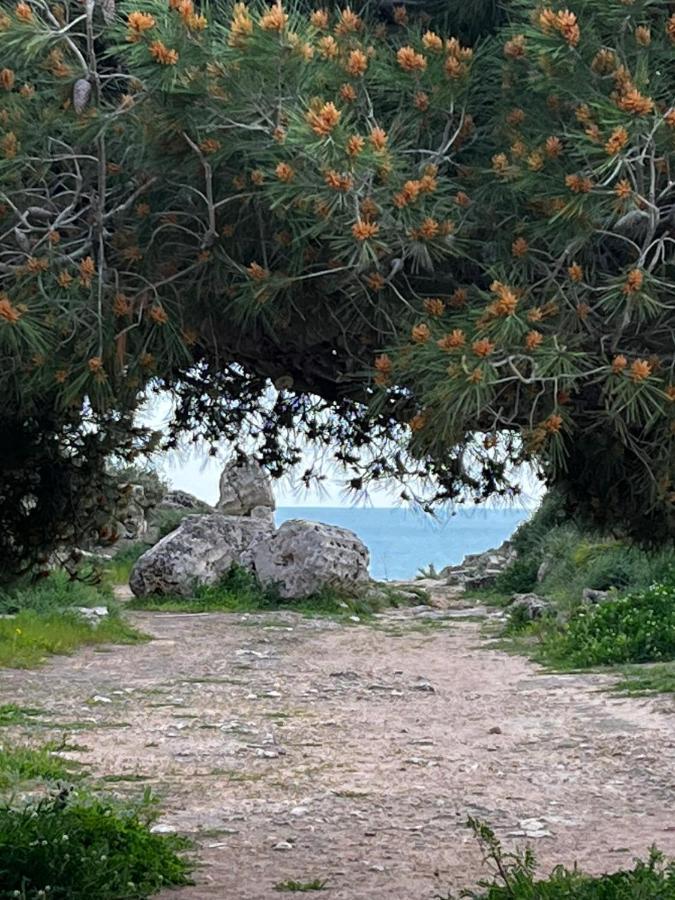Colibri B&B Sciacca Εξωτερικό φωτογραφία